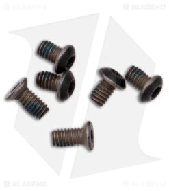 Kizer Azo Vanguard Begleiter Mini Frame Lock Knife Titanium (3" Black) -Kizer Store Kizer Azo Vanguard Begleiter Mini FL Ti Black SW BHQ 179145 jr hw