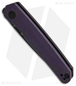 Kizer SS1 Liner Lock Flipper Knife Tanto Purple G-10 (3.5" Black) V3603C1 -Kizer Store Kizer SS1 LL Knife Purple G10 3in Black BHQ 138730 td spine